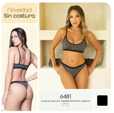 Cocot 6481